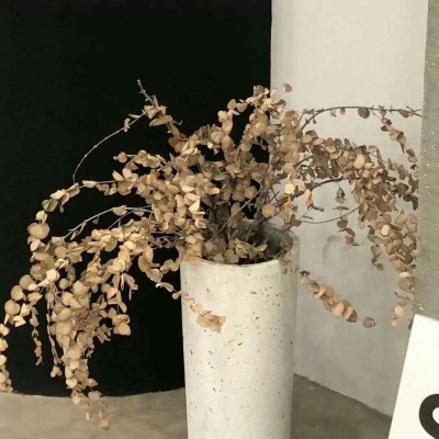 宜秀福瑞交流群